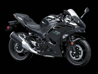 Kawasaki Ninja 500 (2024 - 26) nuova