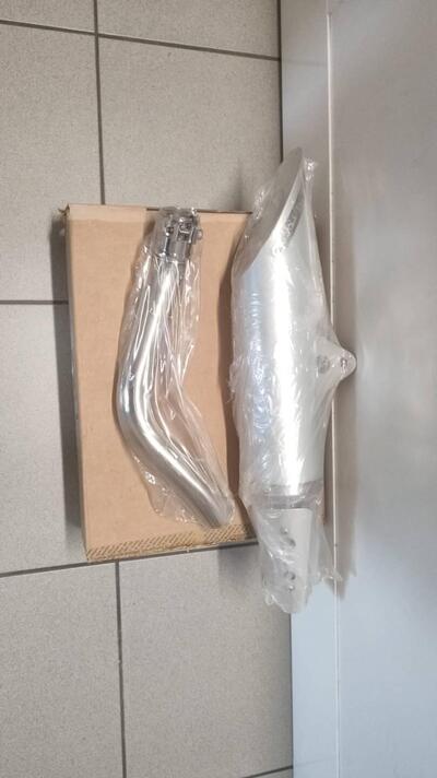 Scarico DPM per hornet 600 03/06 De Pretto