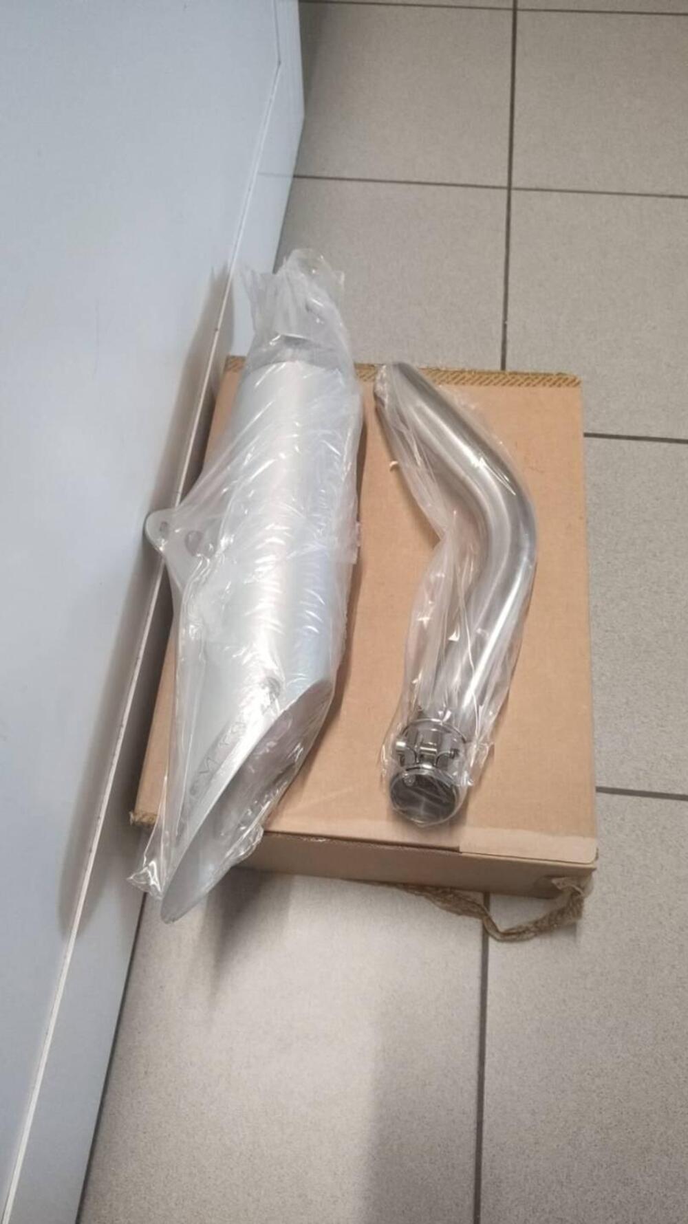 Scarico DPM per hornet 600 03/06 De Pretto (2)