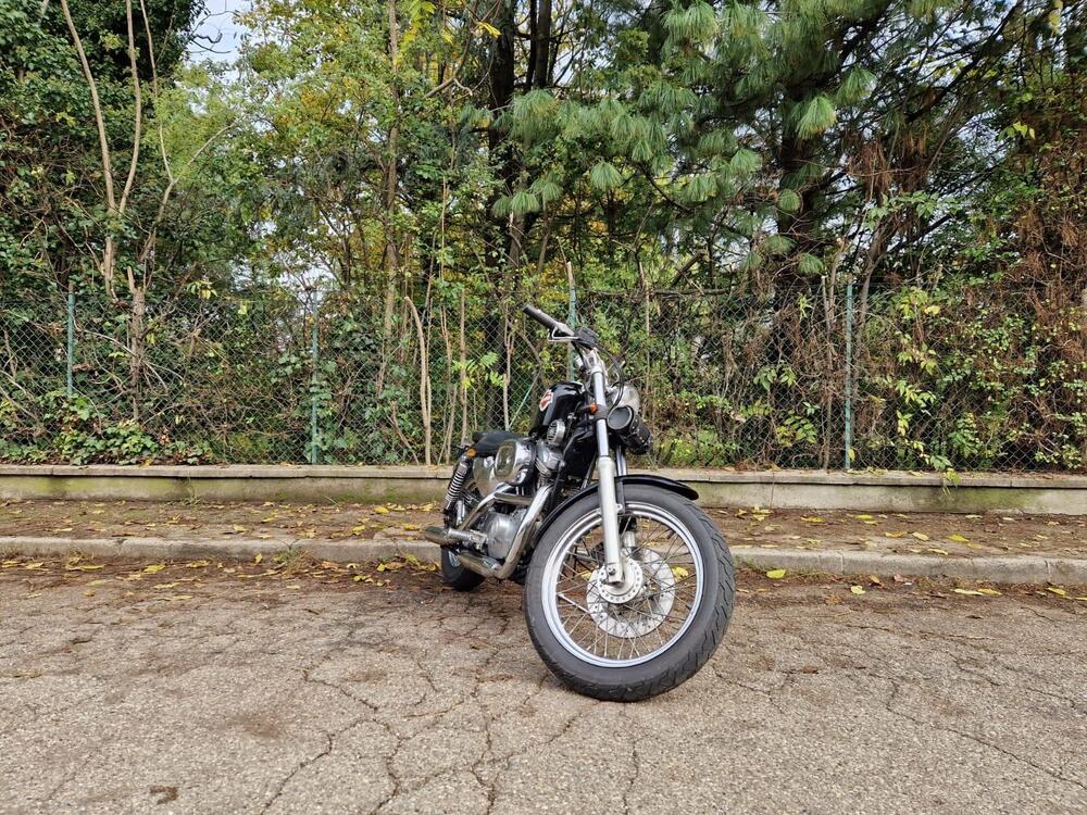 Harley-Davidson 883 Standard (1987 - 93) - XLH (7)