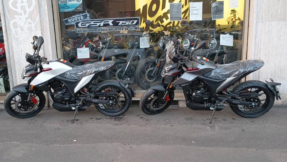 Malaguti Drakon 125 (2022 - 25) (4)