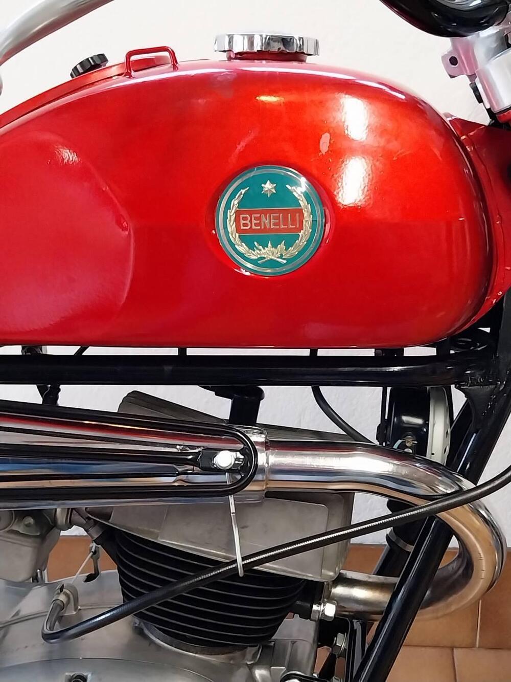 Benelli Leoncino Cross (7)