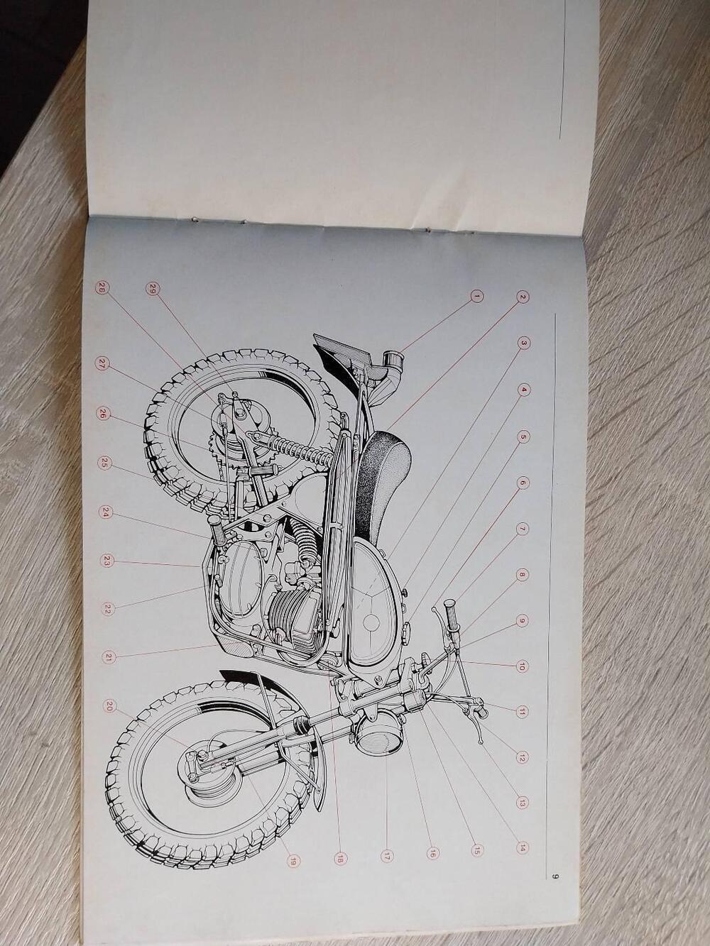 Benelli Leoncino Cross (19)