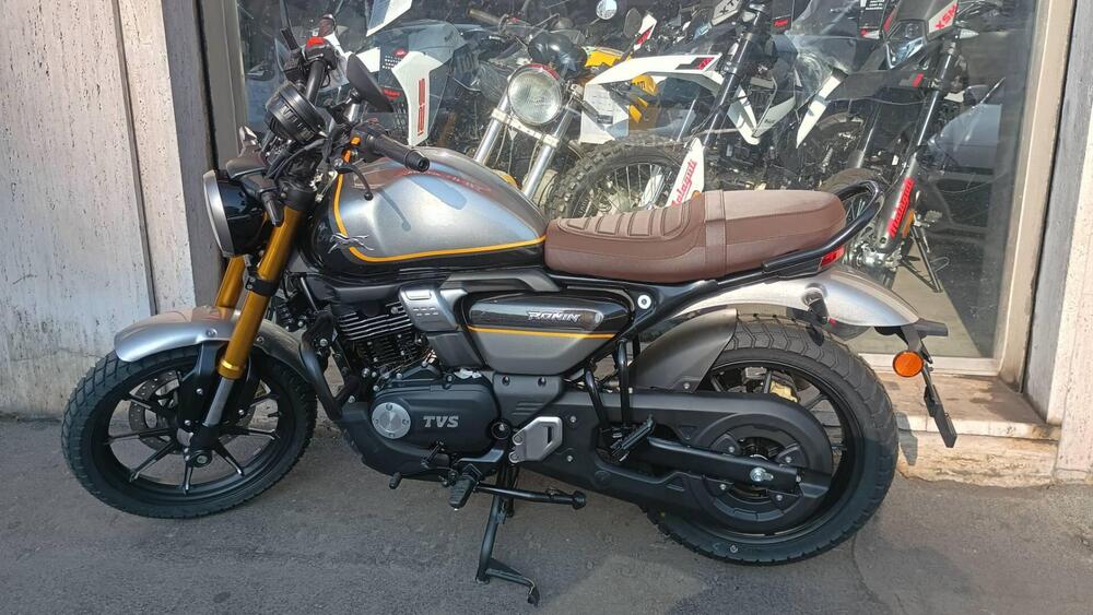 TVS Motor Ronin 250 (2024 - 25) (3)