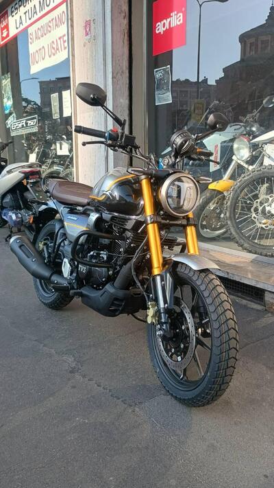 TVS Motor Ronin 250 (2024 - 25) nuova