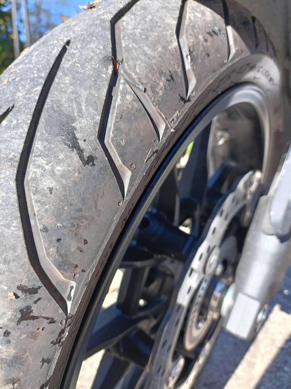 Voge Trofeo 500AC (2022 - 25) (4)