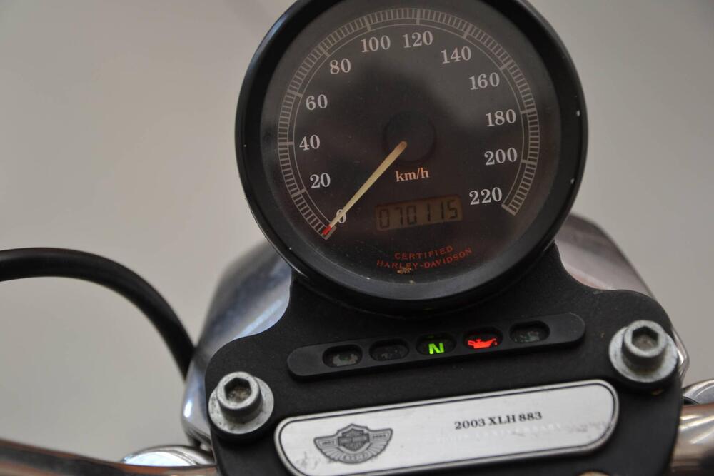 Harley-Davidson 883 Standard (2001 - 05) - XL 883 (6)