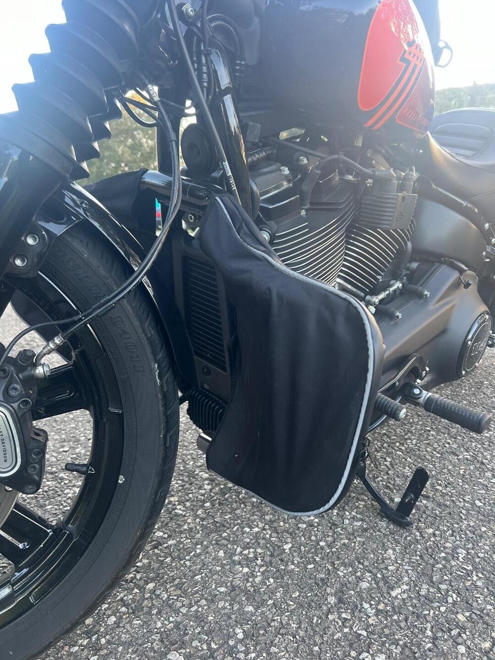 Harley-Davidson Street Bob 114 (2021 - 24) (9)