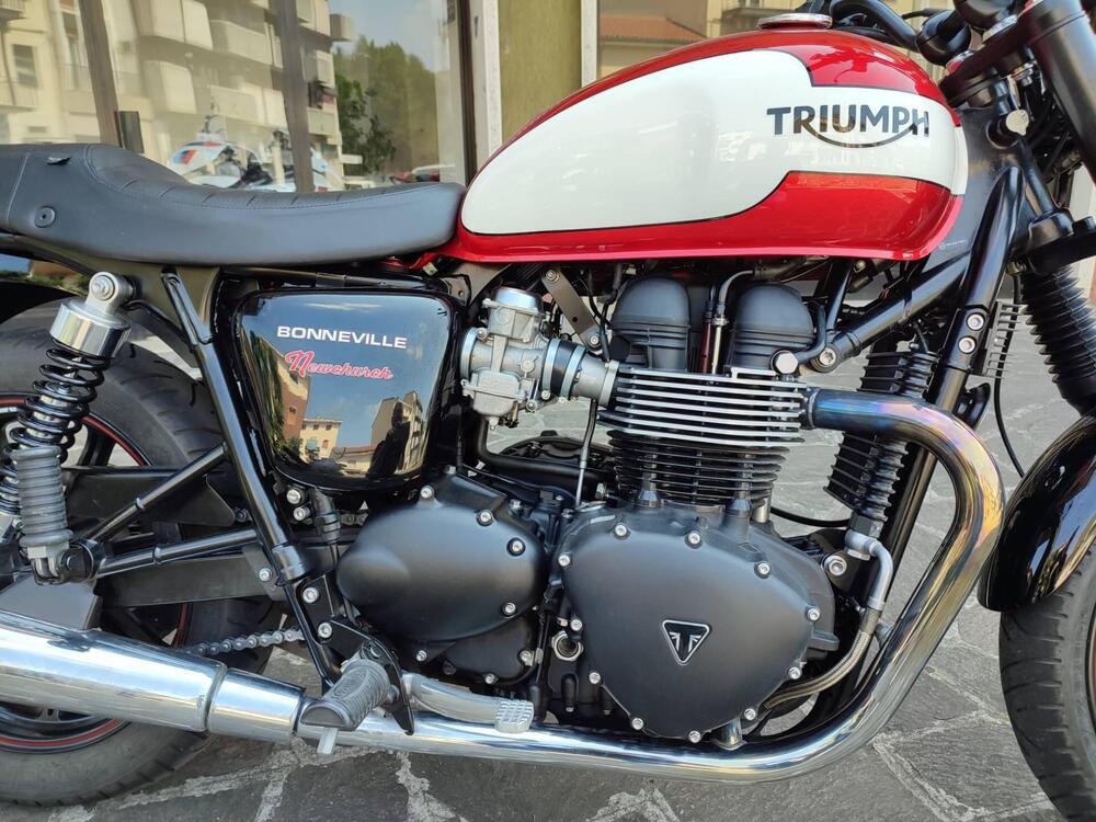 Triumph Bonneville SE (2009 - 13) (14)