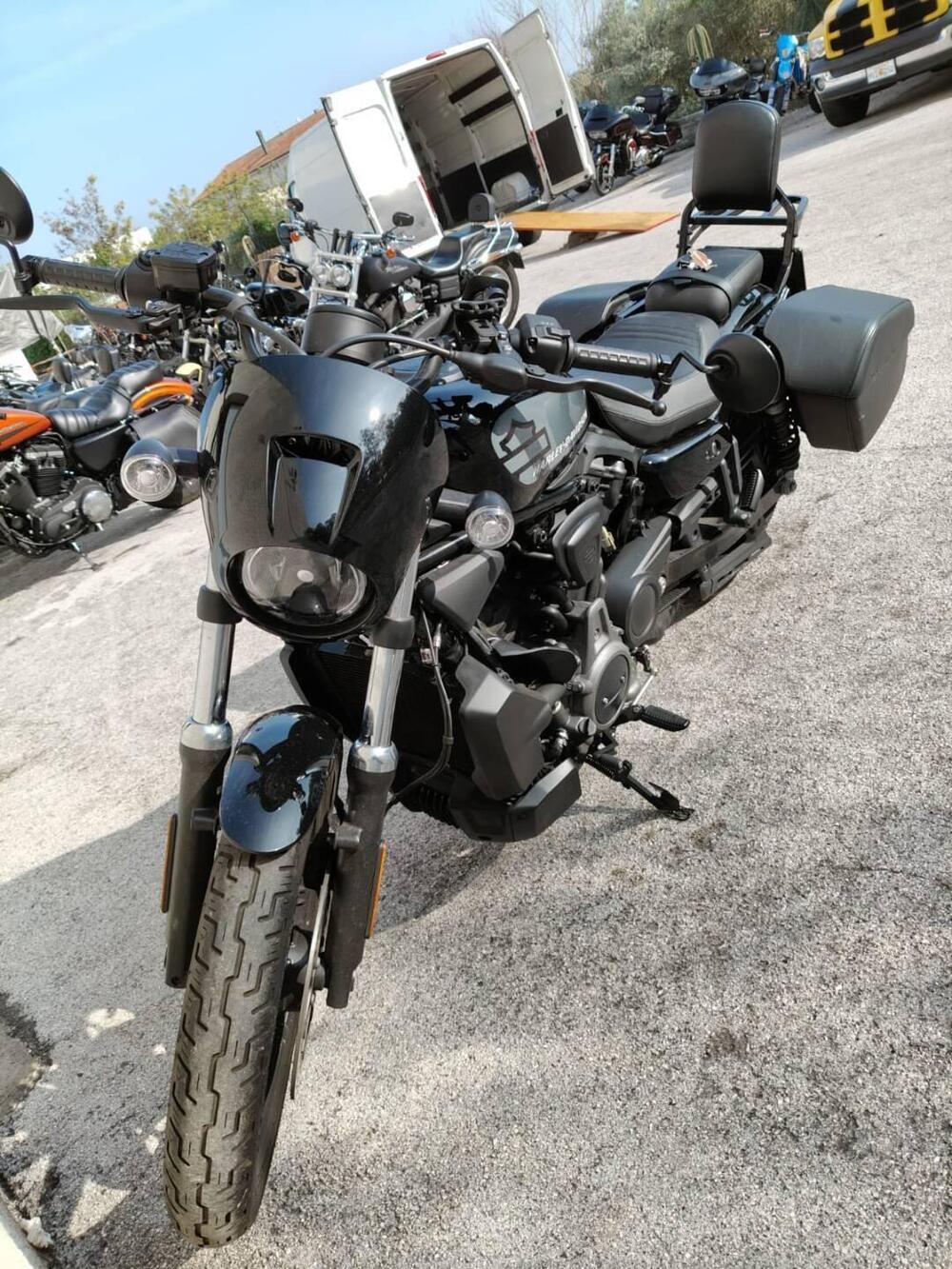 Harley-Davidson Nightster (2023 - 25) (2)