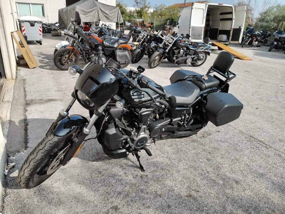 Harley-Davidson Nightster (2023 - 25)