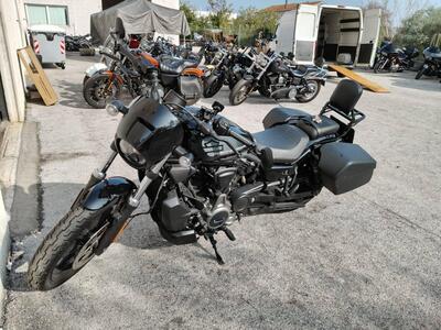 Harley-Davidson Nightster (2023 - 25) usata