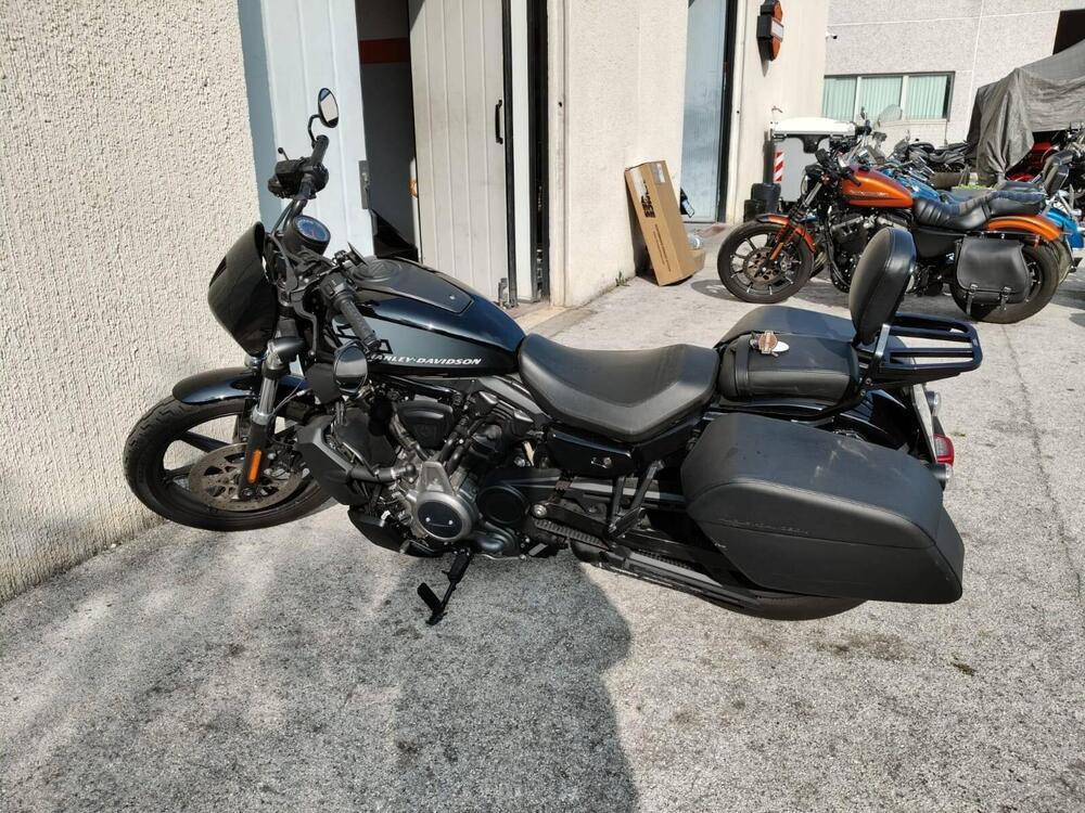 Harley-Davidson Nightster (2023 - 25) (3)