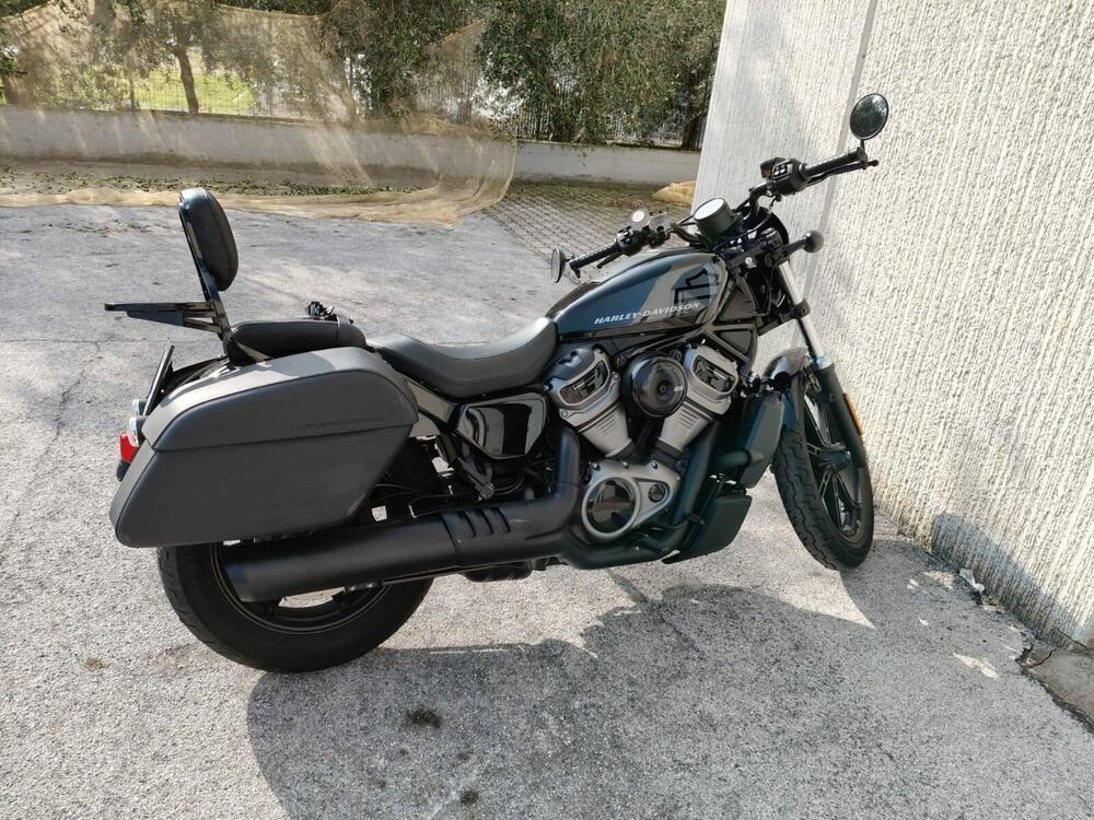 Harley-Davidson Nightster (2023 - 25) (4)