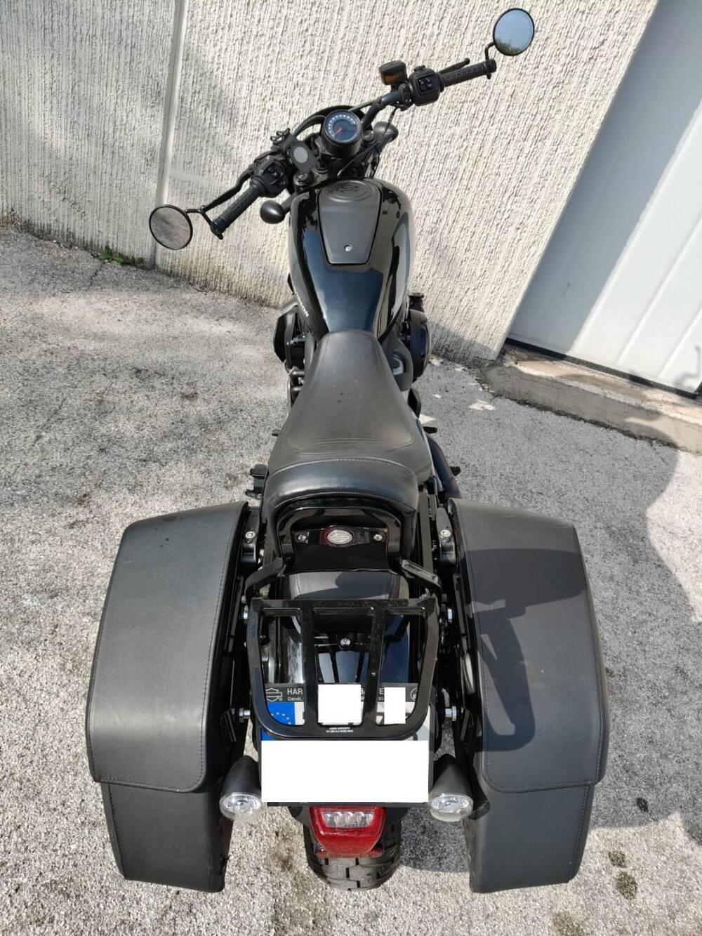 Harley-Davidson Nightster (2023 - 25) (6)