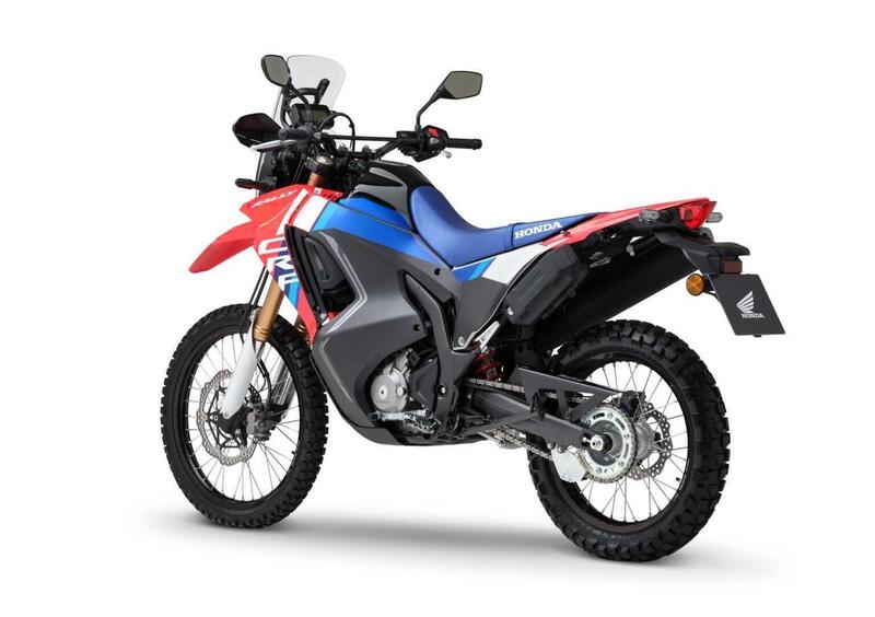 Honda CRF 300 Rally CRF 300 Rally (2025) (5)