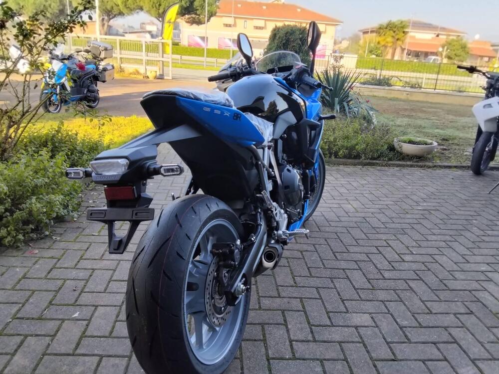 Suzuki GSX-8R (2024 - 25) (3)