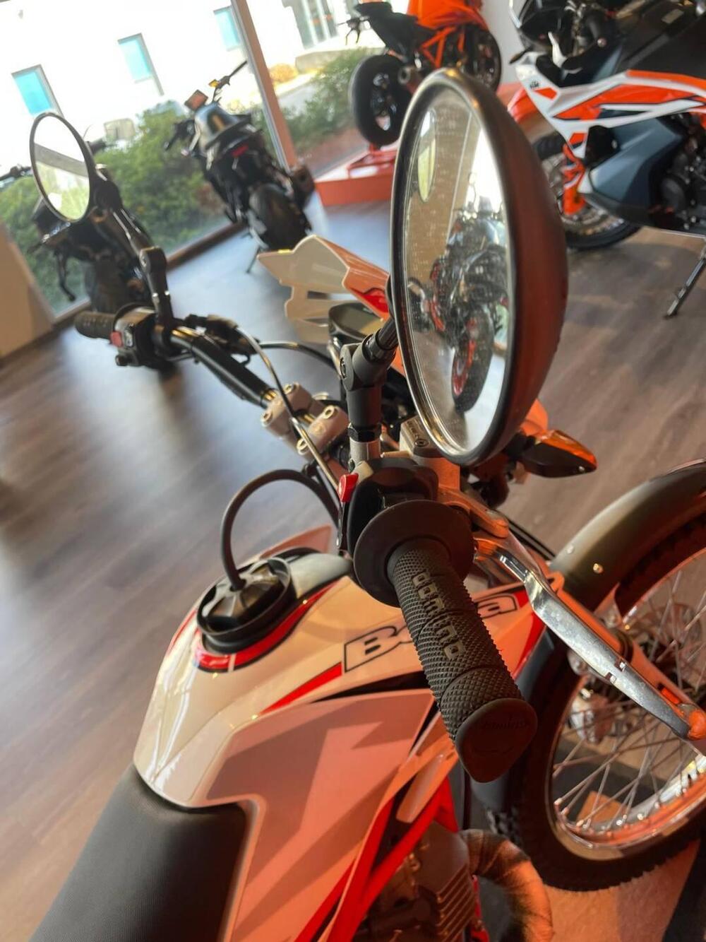 Betamotor Alp 200 (2021 - 25) (4)