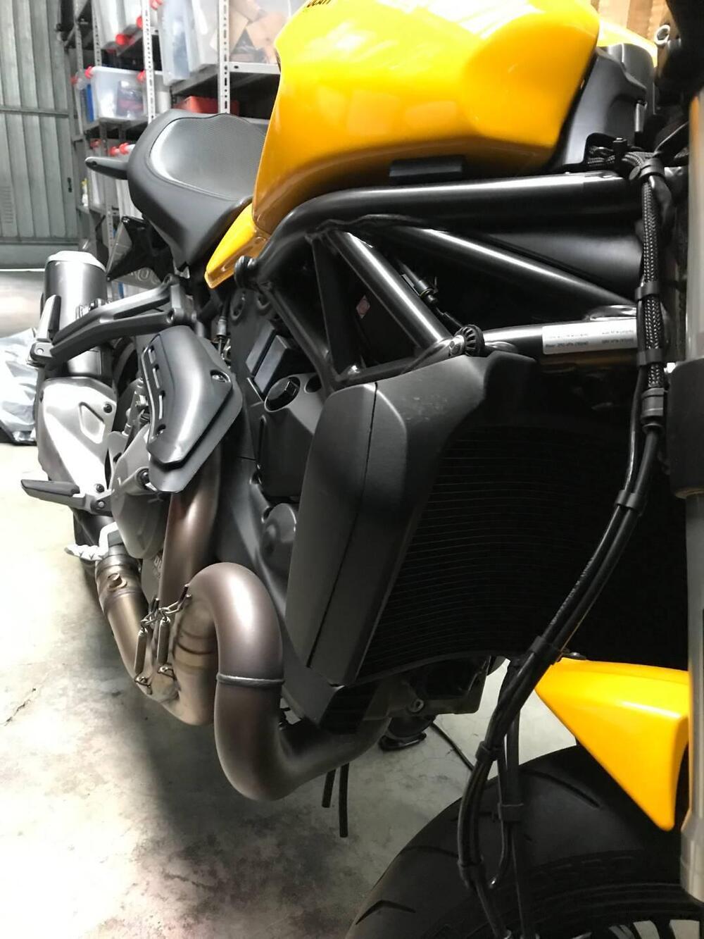 Ducati Monster 821 (2018 - 20) (9)