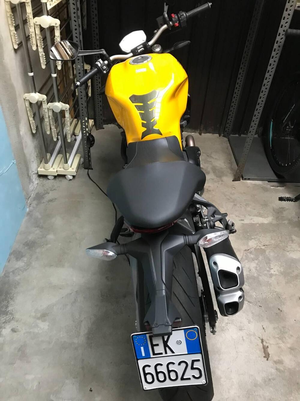 Ducati Monster 821 (2018 - 20) (19)