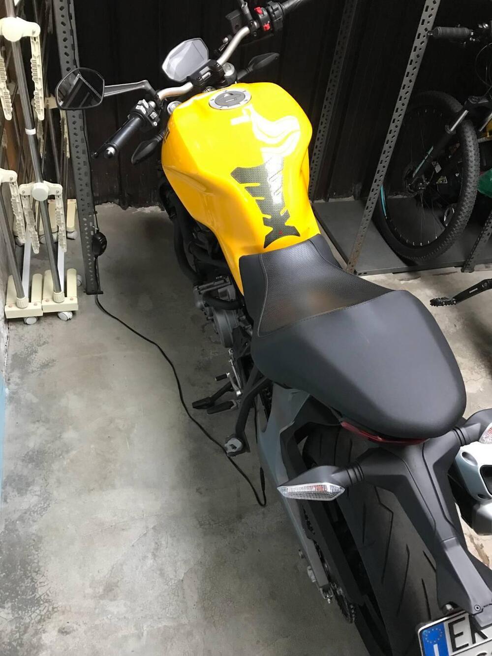 Ducati Monster 821 (2018 - 20) (20)