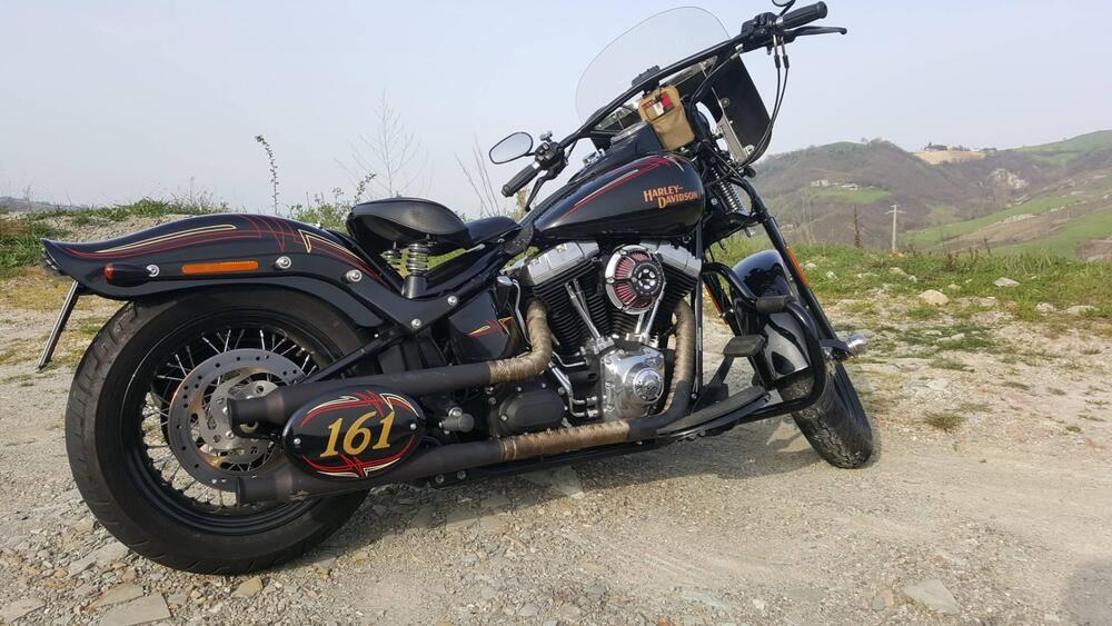 Harley-Davidson 1584 Cross Bones (2008 - 11) - FLSTSB (7)