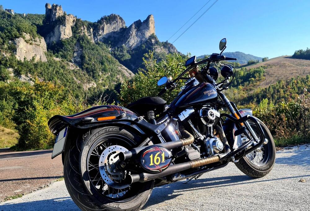 Harley-Davidson 1584 Cross Bones (2008 - 11) - FLSTSB (8)