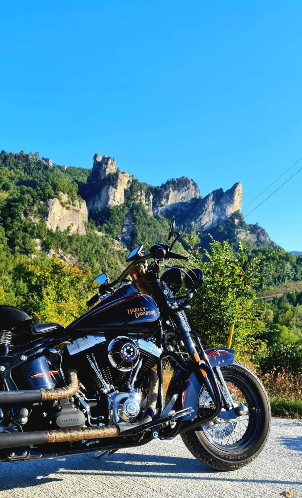 Harley-Davidson 1584 Cross Bones (2008 - 11) - FLSTSB (9)