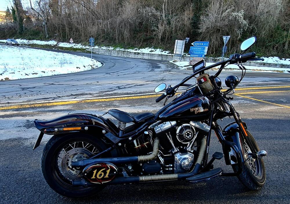 Harley-Davidson 1584 Cross Bones (2008 - 11) - FLSTSB (17)