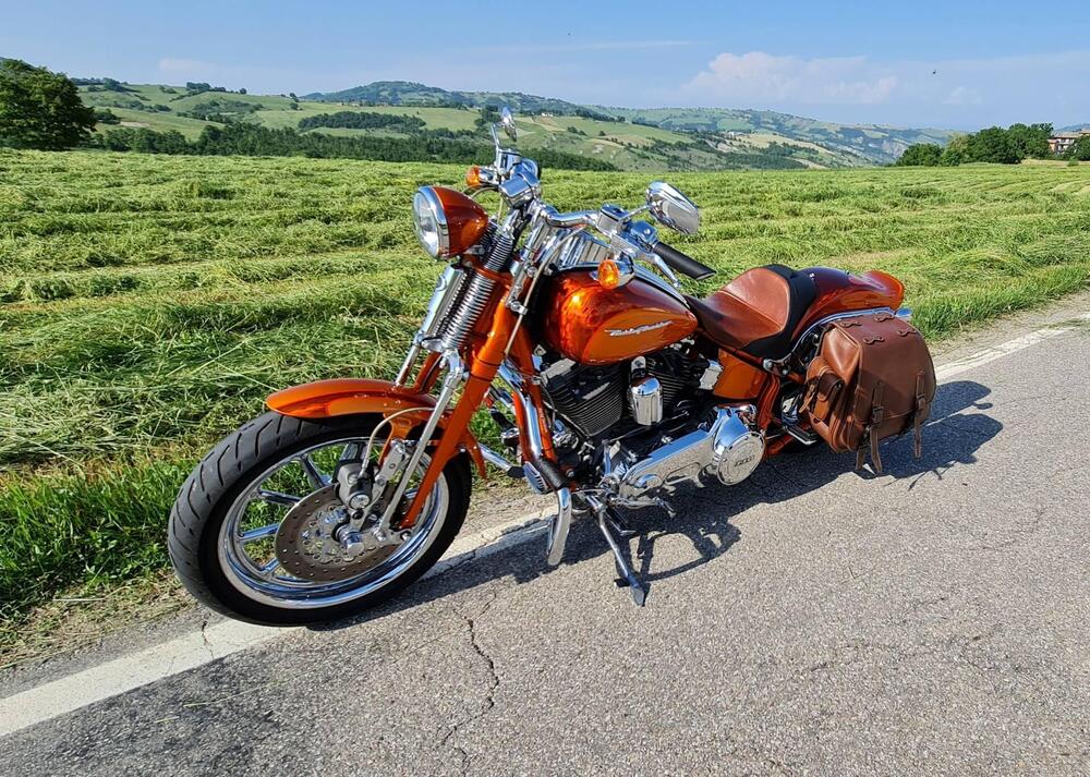 Harley-Davidson 1800 Springer (2009 - 12) - FXSTSSE (13)