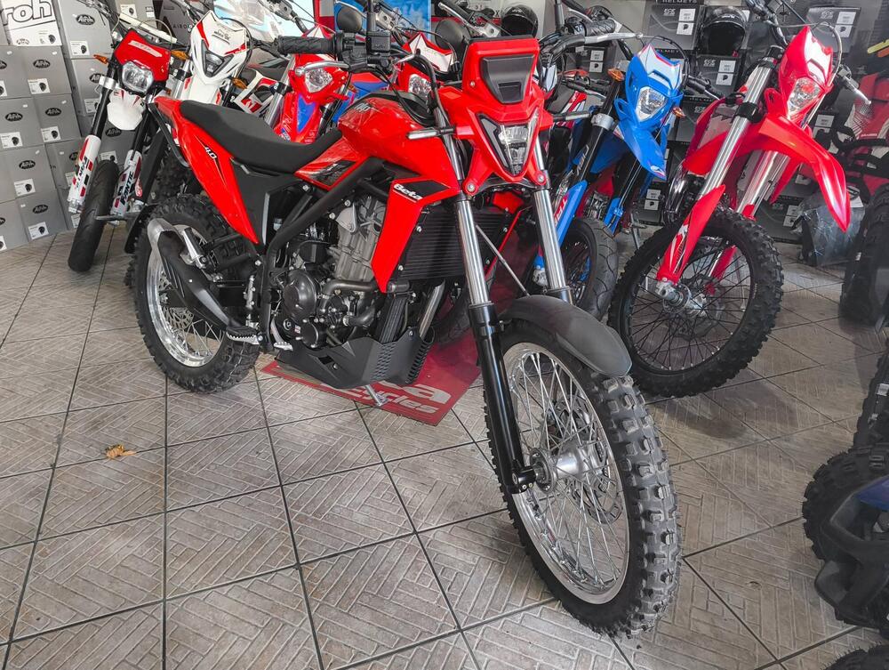 Betamotor Alp 4.0 (2024 - 25) (2)