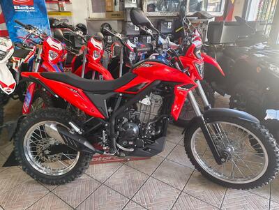 Betamotor Alp 4.0 (2024 - 25) nuova