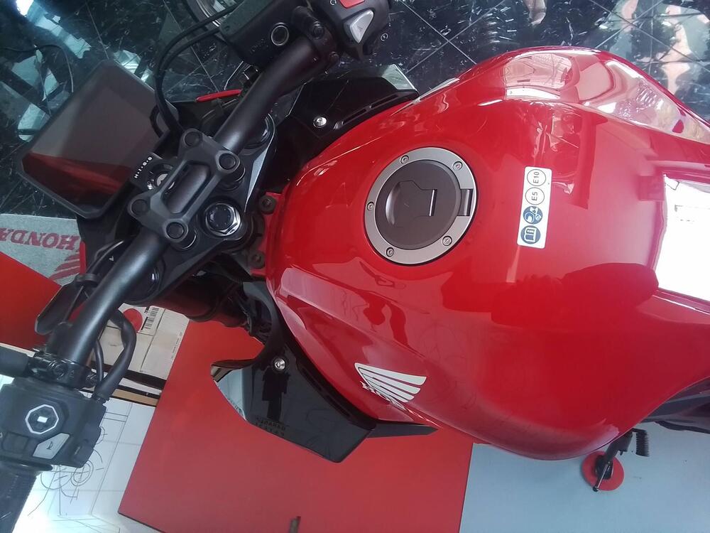 Honda CB 500 Hornet (2024 - 25) (15)