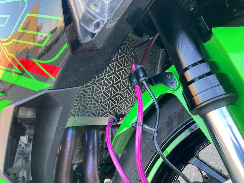 Kawasaki Ninja ZX-4RR (2024 - 26) (5)