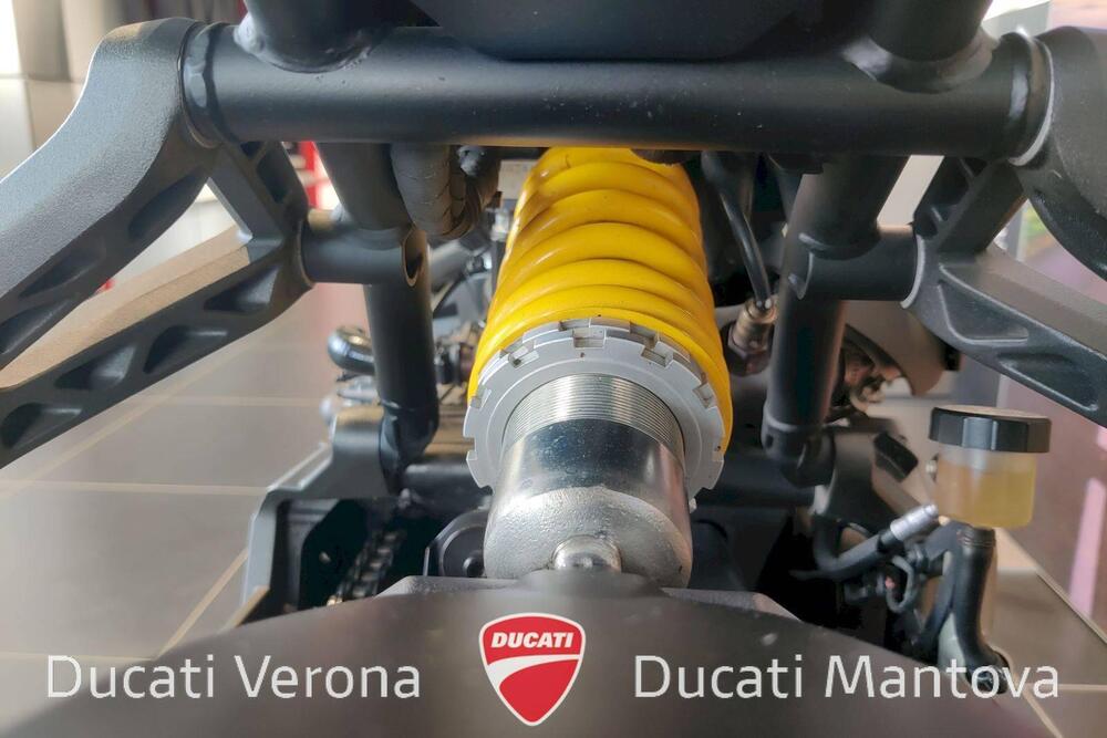 Ducati Monster 1200 (2017 - 21) (16)