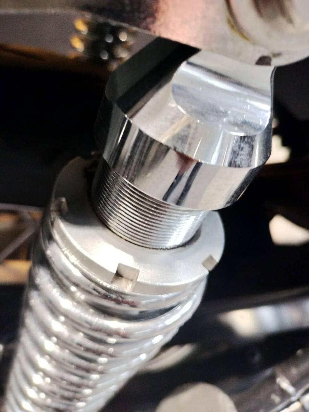 Triumph Bonneville T100 50th Anniversary (2009) (6)