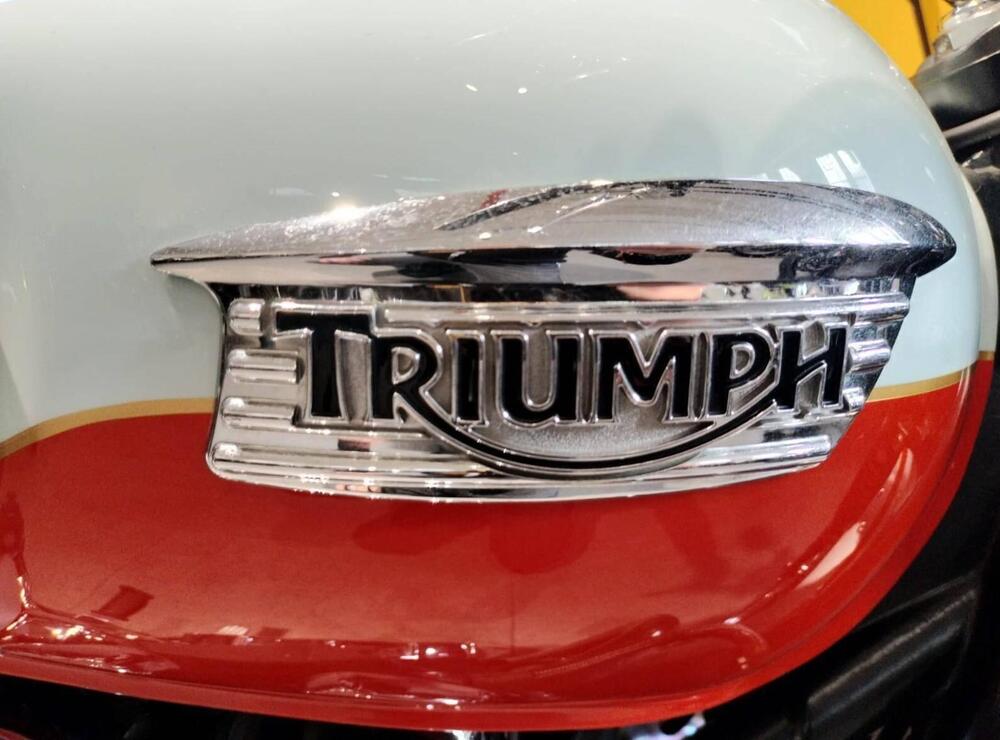 Triumph Bonneville T100 50th Anniversary (2009) (8)