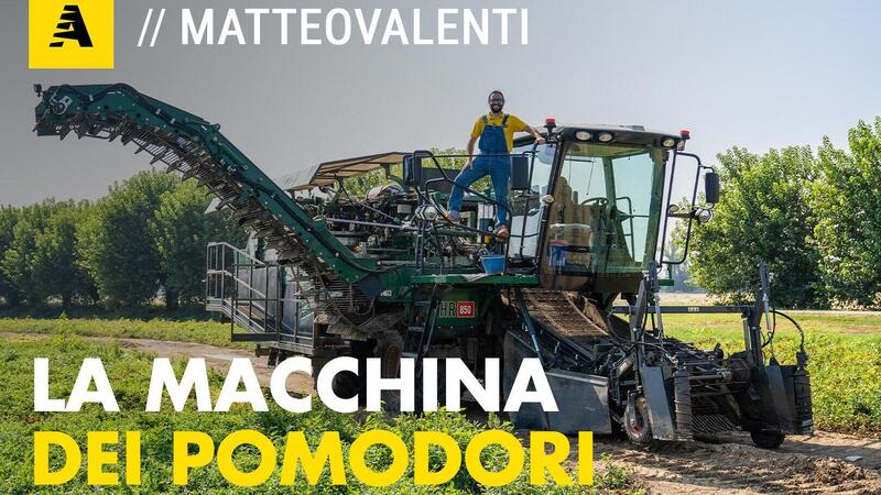 Come si raccolgono i pomodori? Tutti i segreti di una macchina raccoglitrice da 360.000 &euro; [Video]