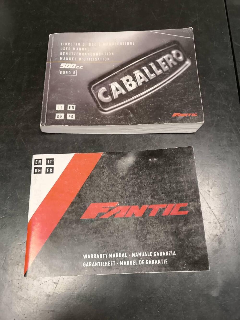 Fantic Motor Caballero 500 Scrambler Anniversary (2021 - 23) (15)