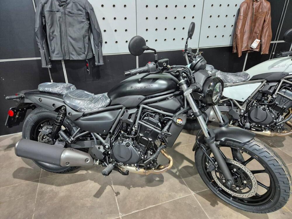 Kawasaki Eliminator 500 (2024 - 26) (3)