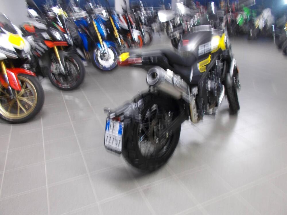 Voge Trofeo 525ACX Scrambler (2023 - 25) (3)