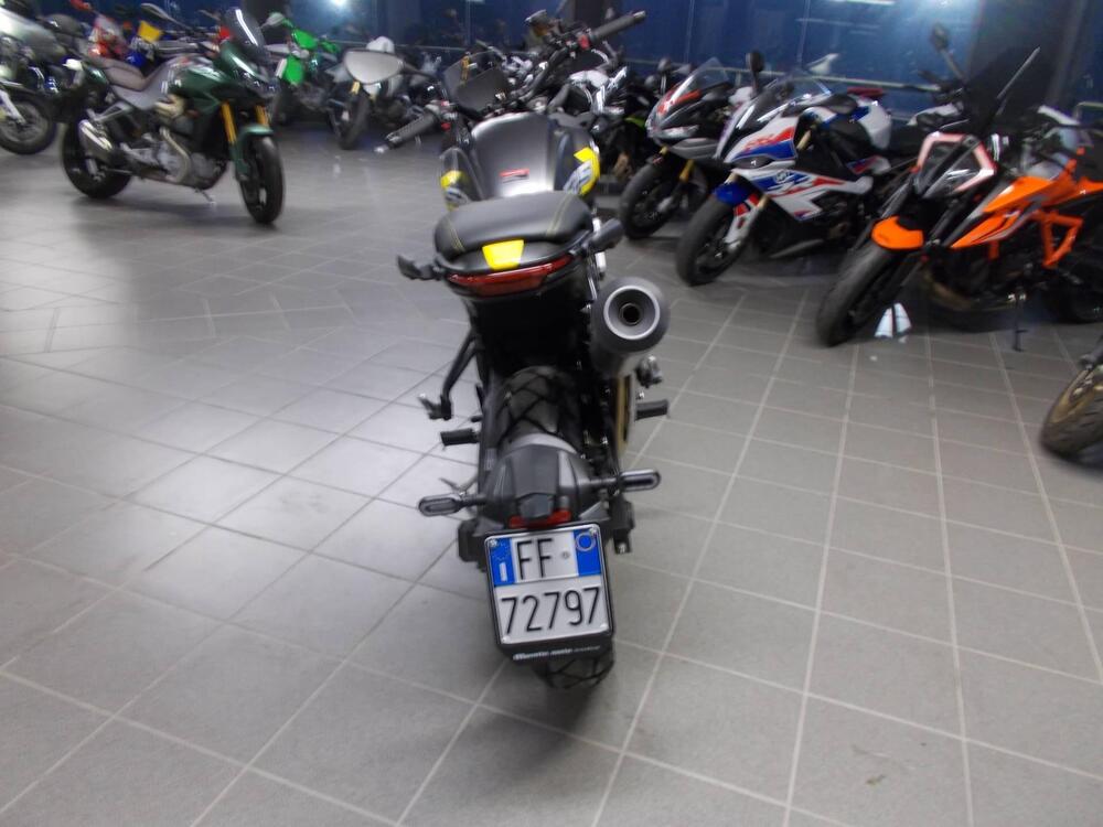 Voge Trofeo 525ACX Scrambler (2023 - 25) (4)