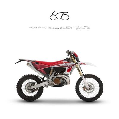 Fantic Motor XE 300 (2025) nuova