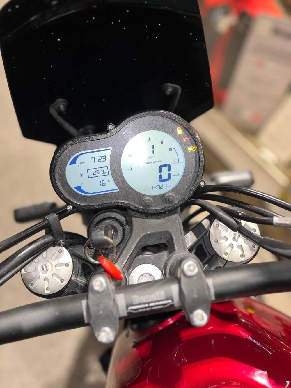 Benelli Leoncino 500 (2021 - 25) (4)