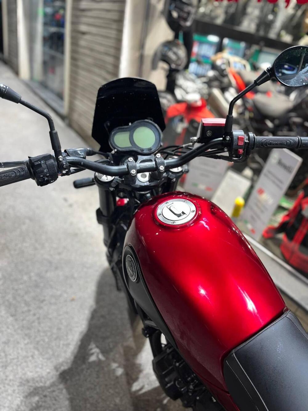 Benelli Leoncino 500 (2021 - 25) (5)