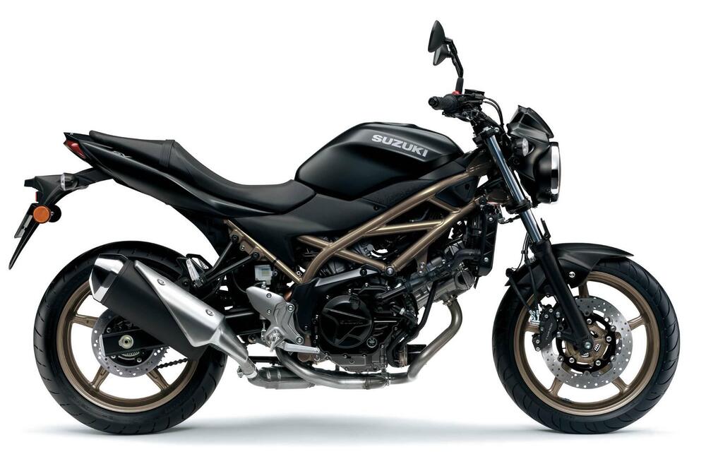 Suzuki SV650 (2025) (3)