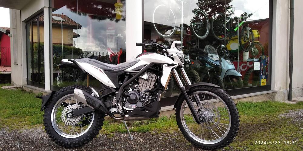 Betamotor Alp 4.0 (2024 - 25) (4)