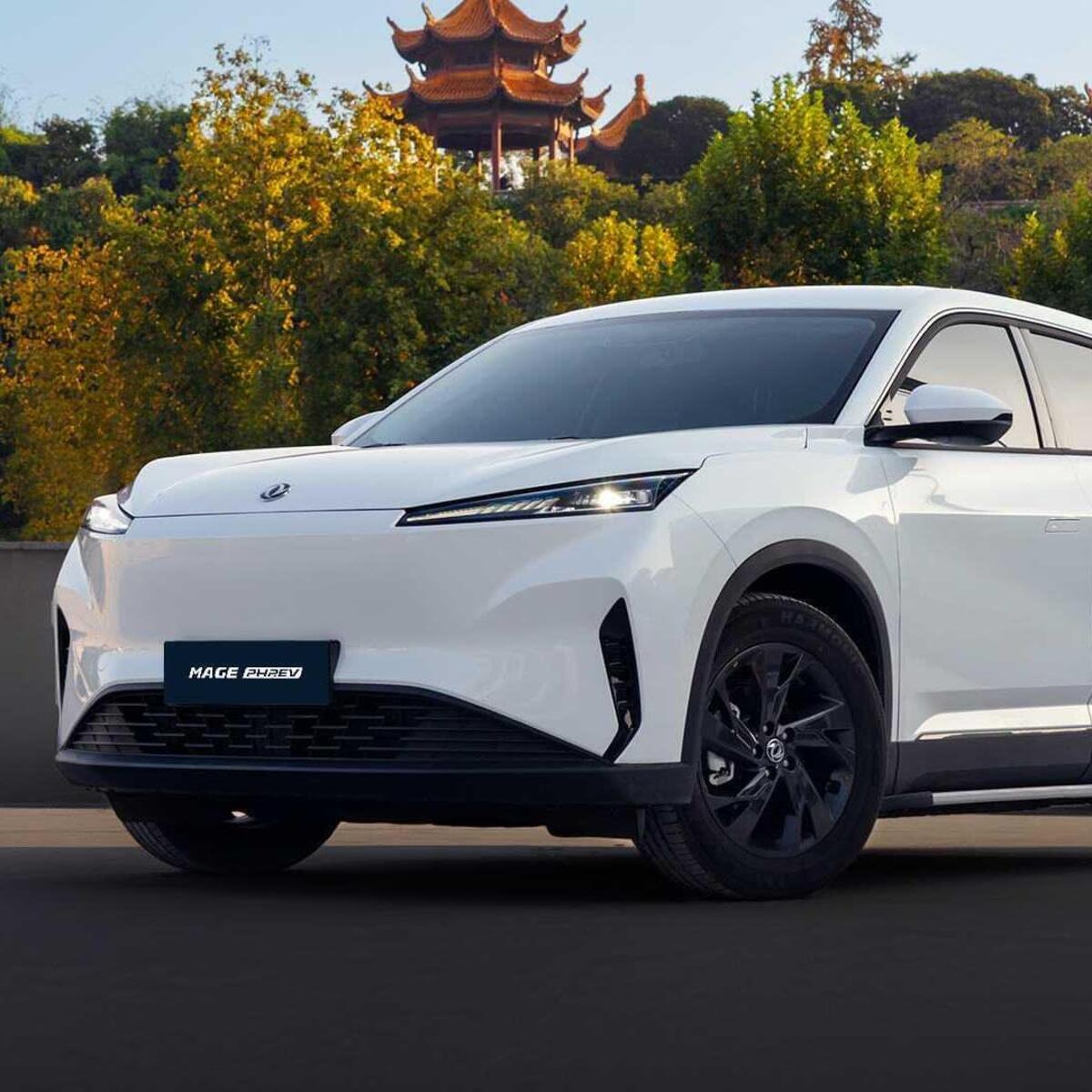 Dongfeng Mage