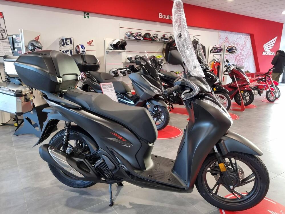 Honda SH 150i Sport (2022 - 23)