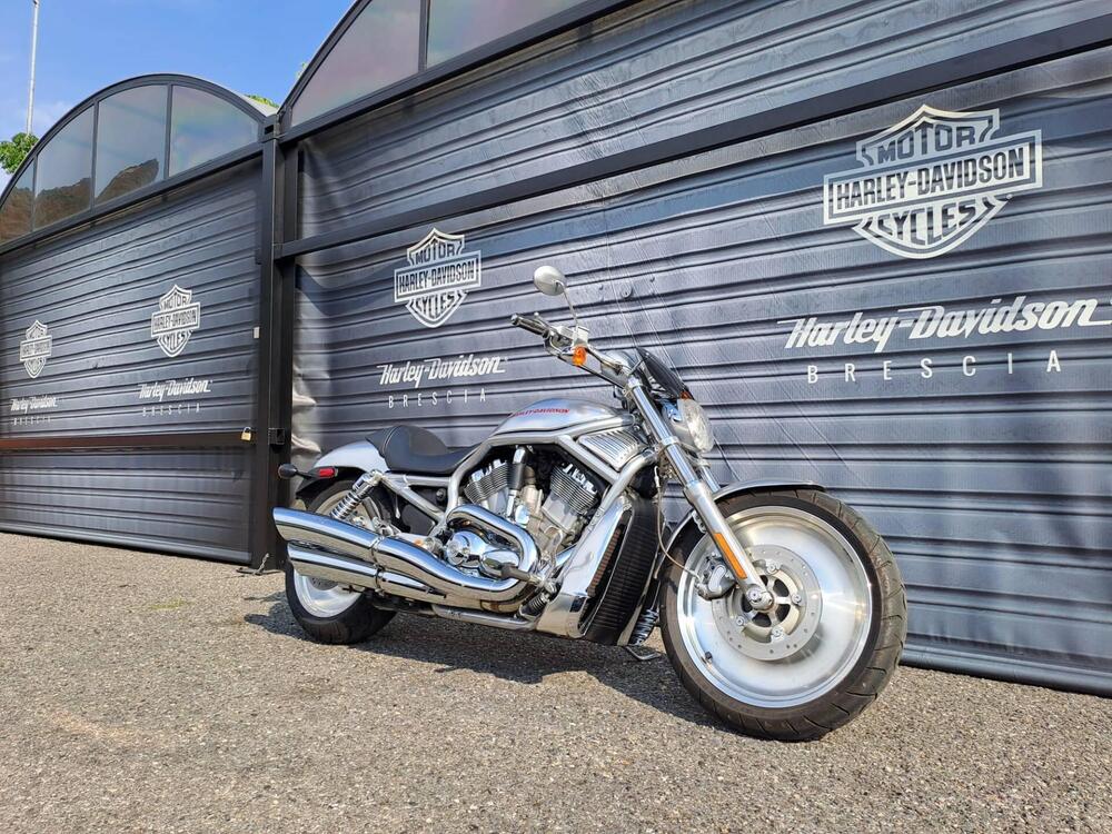 Harley-Davidson 1130 V-Rod (2002 - 05) - VRSCA (2)